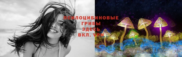 СК Аркадак