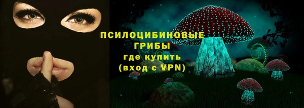 крисы Надым