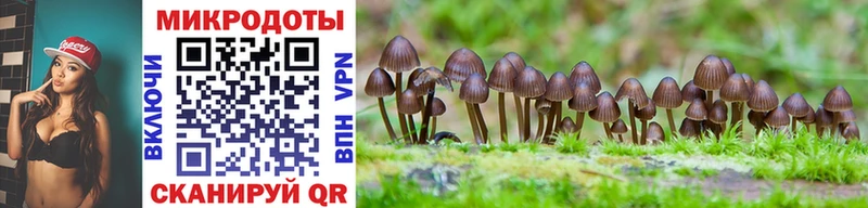 Псилоцибиновые грибы мухоморы  где купить наркотик  Мценск 